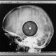 Illustration for article titled The Bizarre History of X-Ray Records and Early Music Piracy